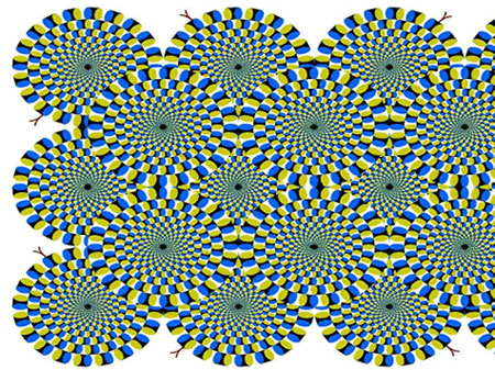 Spiral Illusion