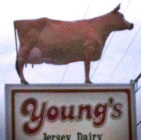Young's Jersey Dairy, Yellow Springs, OH