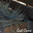 God Came: A Christmas Album