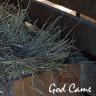 God Came: A Christmas Album